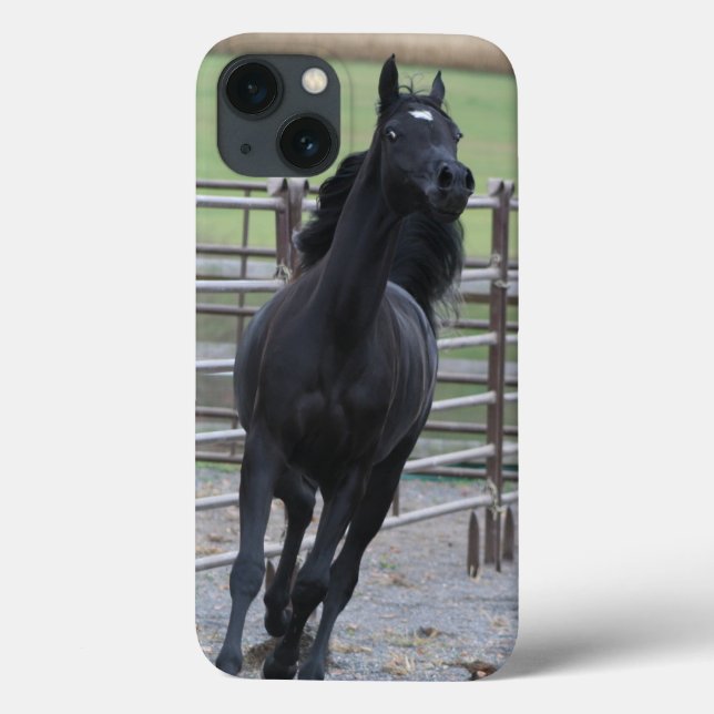 Black Arabian Prancing Case-Mate iPhone Case (Back)