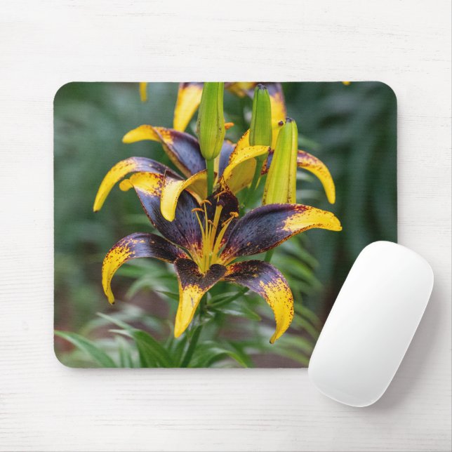 Black Asiatic Lily, Dark Floral Photography Mouse Pad (With Mouse)