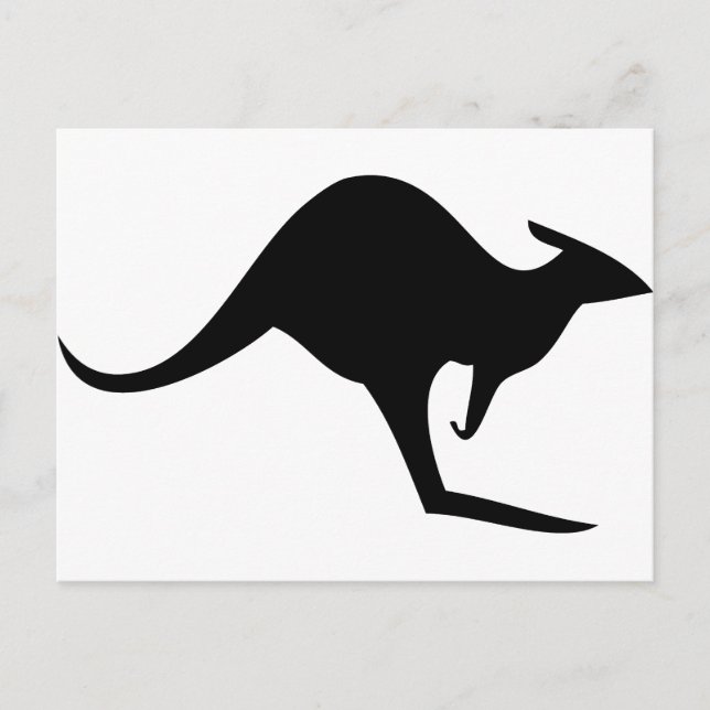 black australian kangaroo - australia postcard (Front)