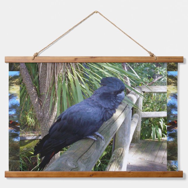Black Australian Parrot, Wall Hanging Tapestry (Front)