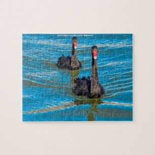Black Australian Swans Jigsaw Puzzle