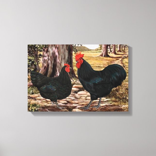 Black Australorp Rooster and Hen in Wooded Setting Canvas Print (Front)