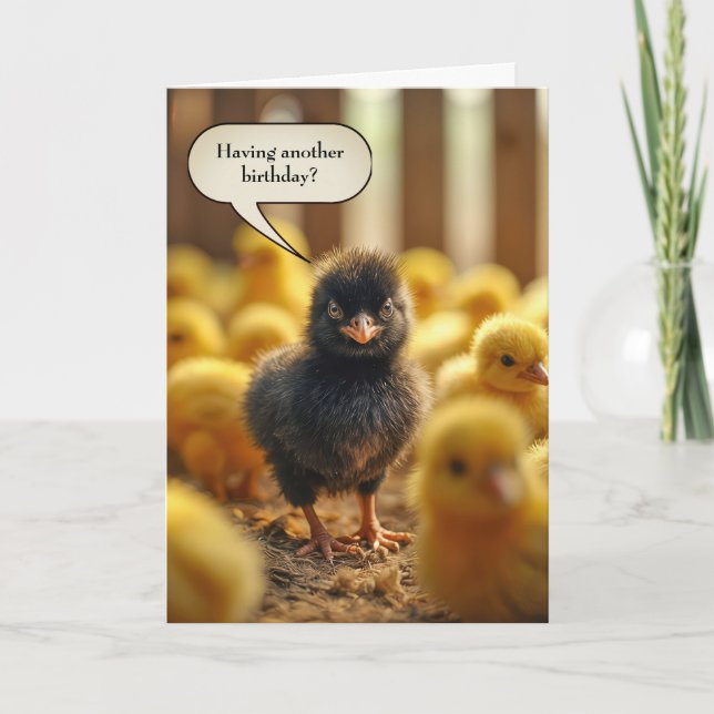 Black Baby Chick Birthday Humour Card (Front)