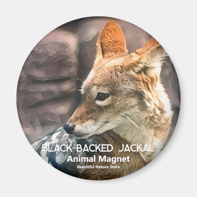 Black-backed Jackal Magnet (Front)