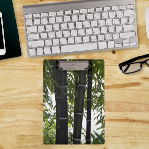 Black Bamboo Plant Garden Photographic Clipboard