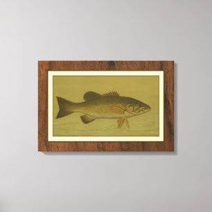 Black Bass on a Green Background Canvas Print