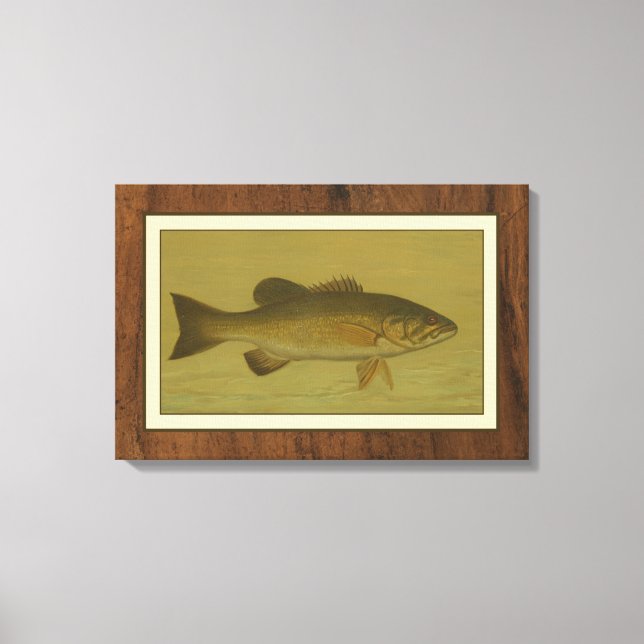 Black Bass on a Green Background Canvas Print (Front)