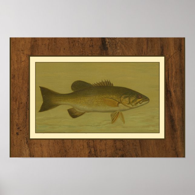 Black Bass on a Green Background Poster (Front)
