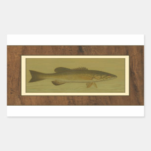 Black Bass on a Green Background Sticker