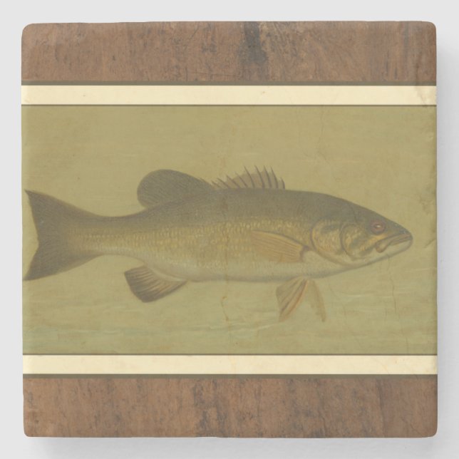 Black Bass on a Green Background Stone Coaster (Front)