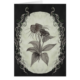 Black Bat Plant Card