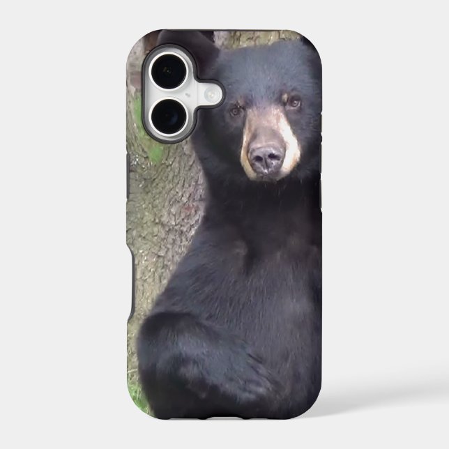 Black Bear (Back)
