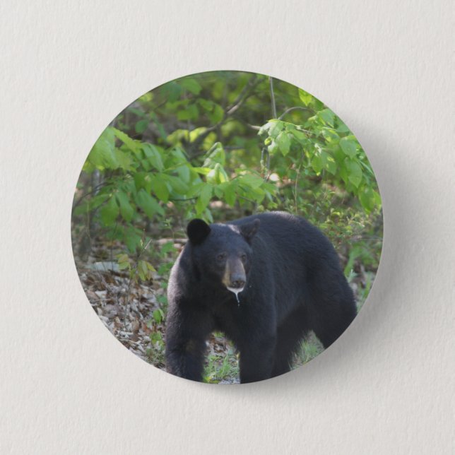 black bear 2 inch round button (Front)