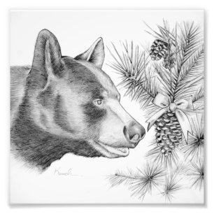 Black Bear and Christmas Tree Photo Print