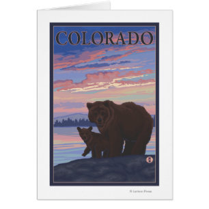 Black Bear and CubColorado
