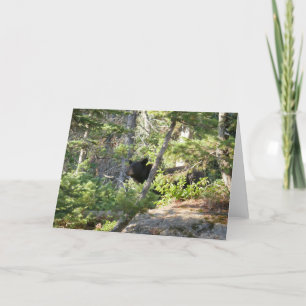 Black Bear at Grand Teton Card