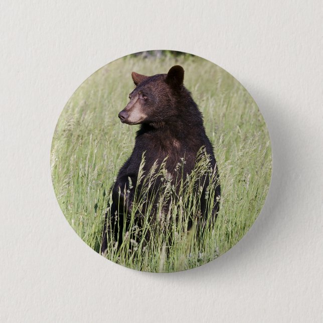 Black Bear Button (Front)
