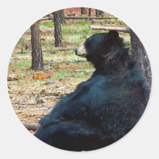 Black bear classic round sticker