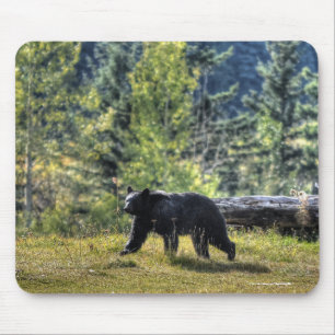 Black Bear Crossing A Ranch Paddock Mouse Pad