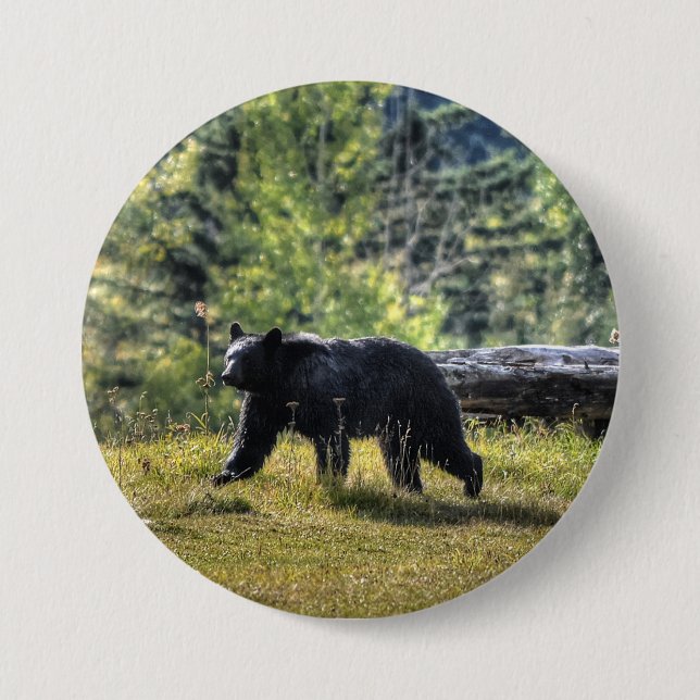 Black Bear Crossing A Ranch Pasture 3 Inch Round Button (Front)