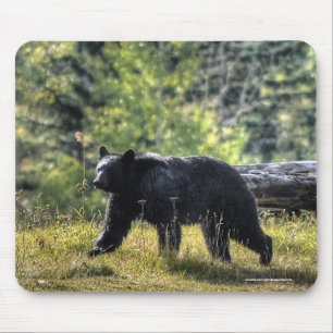 Black Bear Crossing A Ranch Pasture II Mouse Pad