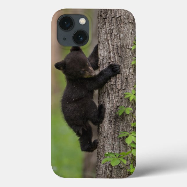 Black Bear Cub Climbing Tree Case-Mate iPhone Case (Back)