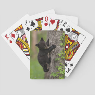 Black Bear Cub Climbing Tree Playing Cards