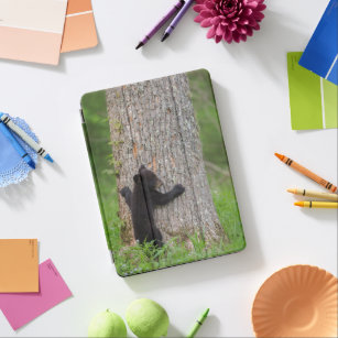 Black Bear Cub   Great Smoky Mountains iPad Air Cover