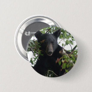 Black Bear Cub in a Tree 2 Inch Round Button