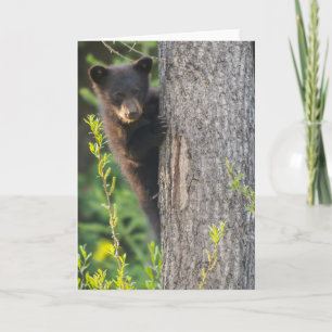 Black Bear Cub in Springtime Card
