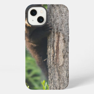 Black Bear Cub in Springtime iPhone 13 Case