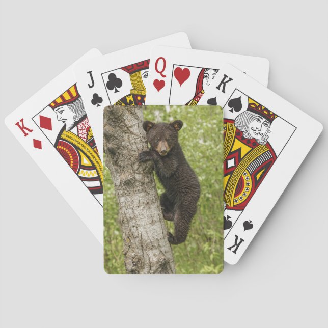 Black Bear Cub in Tree Playing Cards (Back)