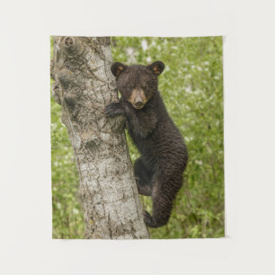 Black Bear cub In Tree Tapestry