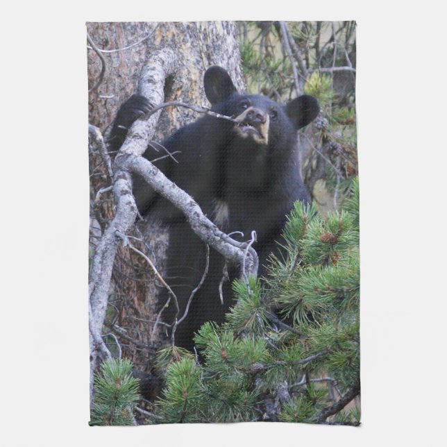 black bear cub kitchen towel (Vertical)
