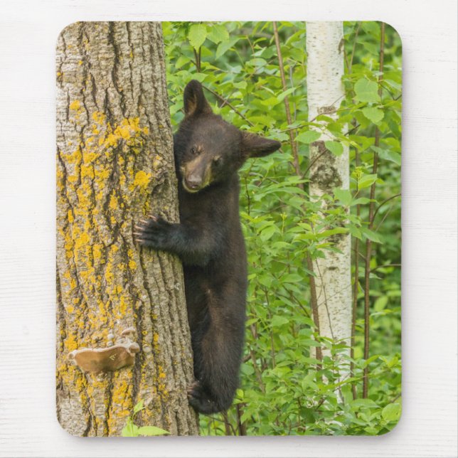 Black Bear Cub | Minnesota Mouse Pad (Front)