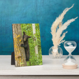 Black Bear Cub Minnesota Plaque
