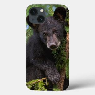 Black Bear Cub Playing in Trees iPhone 13 Case