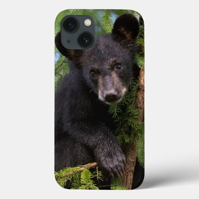 Black Bear Cub Playing in Trees Case-Mate iPhone Case (Back)