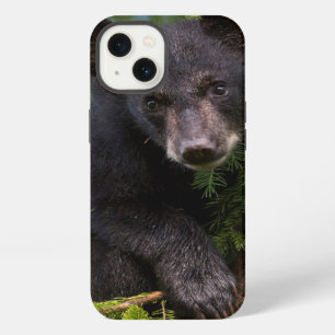 Black Bear Cub Playing in Trees iPhone 13 Case