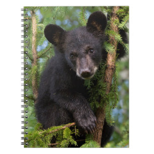 Black Bear Cub Playing in Trees Notebook