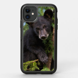 Black Bear Cub Playing in Trees OtterBox Symmetry iPhone 11 Case