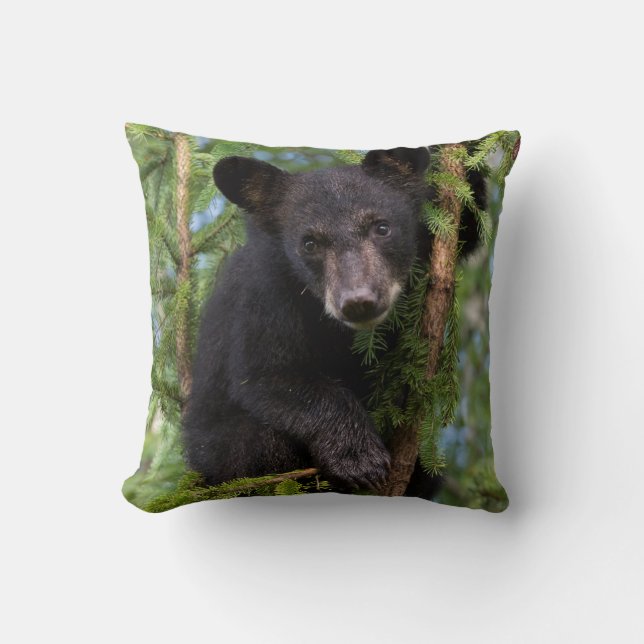 Black Bear Cub Playing in Trees Throw Pillow (Front)