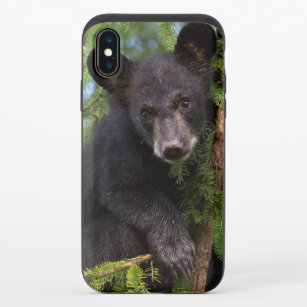 Black Bear Cub Playing in Trees iPhone X Slider Case
