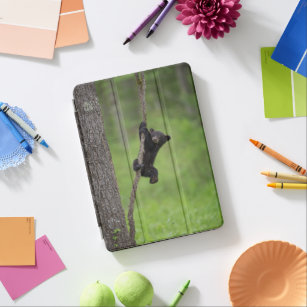 Black Bear Cub playing on Tree Limb iPad Air Cover