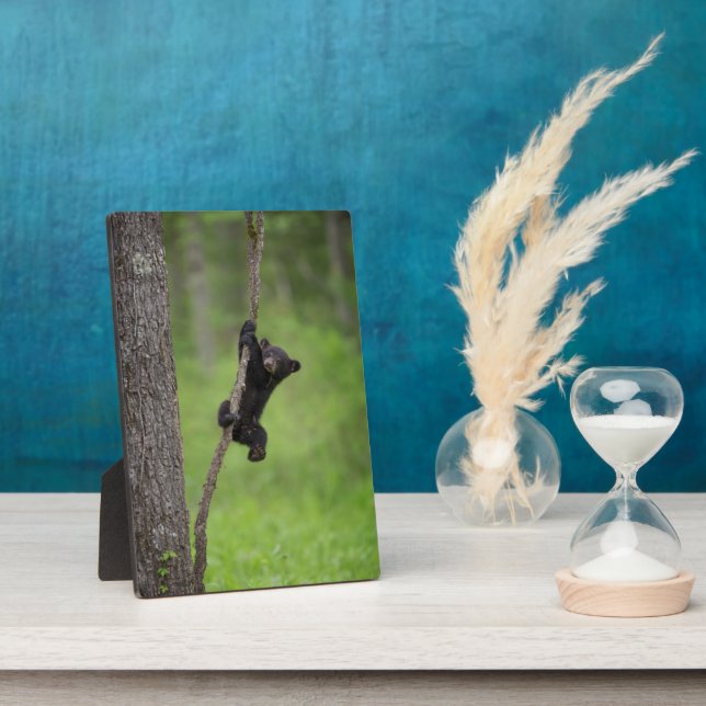 Black Bear Cub playing on Tree Limb Plaque (Side)