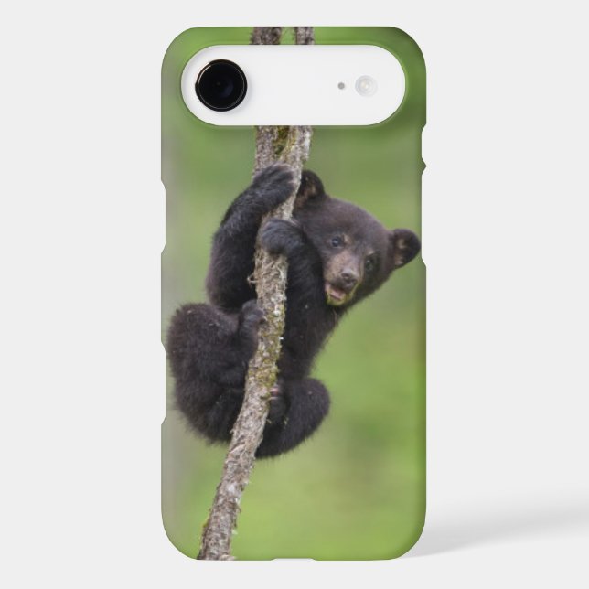 Black bear cub playing, Tennessee Case-Mate iPhone Case (Back)