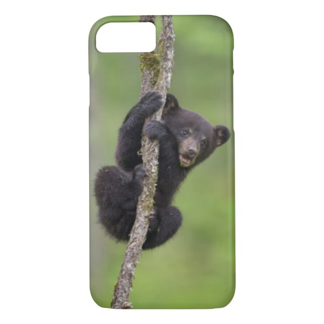 Black bear cub playing, Tennessee Case-Mate iPhone Case (Back)