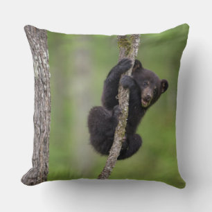 Black bear cub playing, Tennessee Throw Pillow