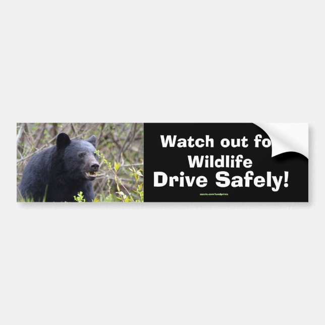 Black Bear Cub Wildlife Supporter Bumper Sticker (Front)