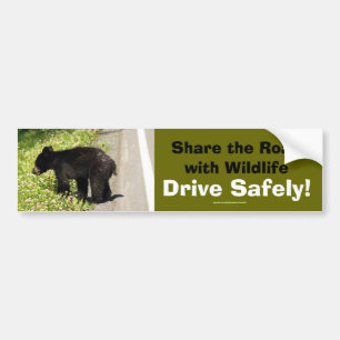 Black Bear Cub Wildlife Supporter Bumper Sticker